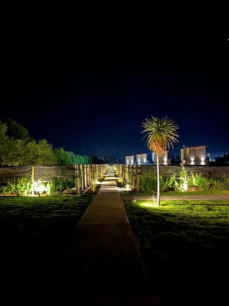 Agrelo Vines Lodge Extérieur photo