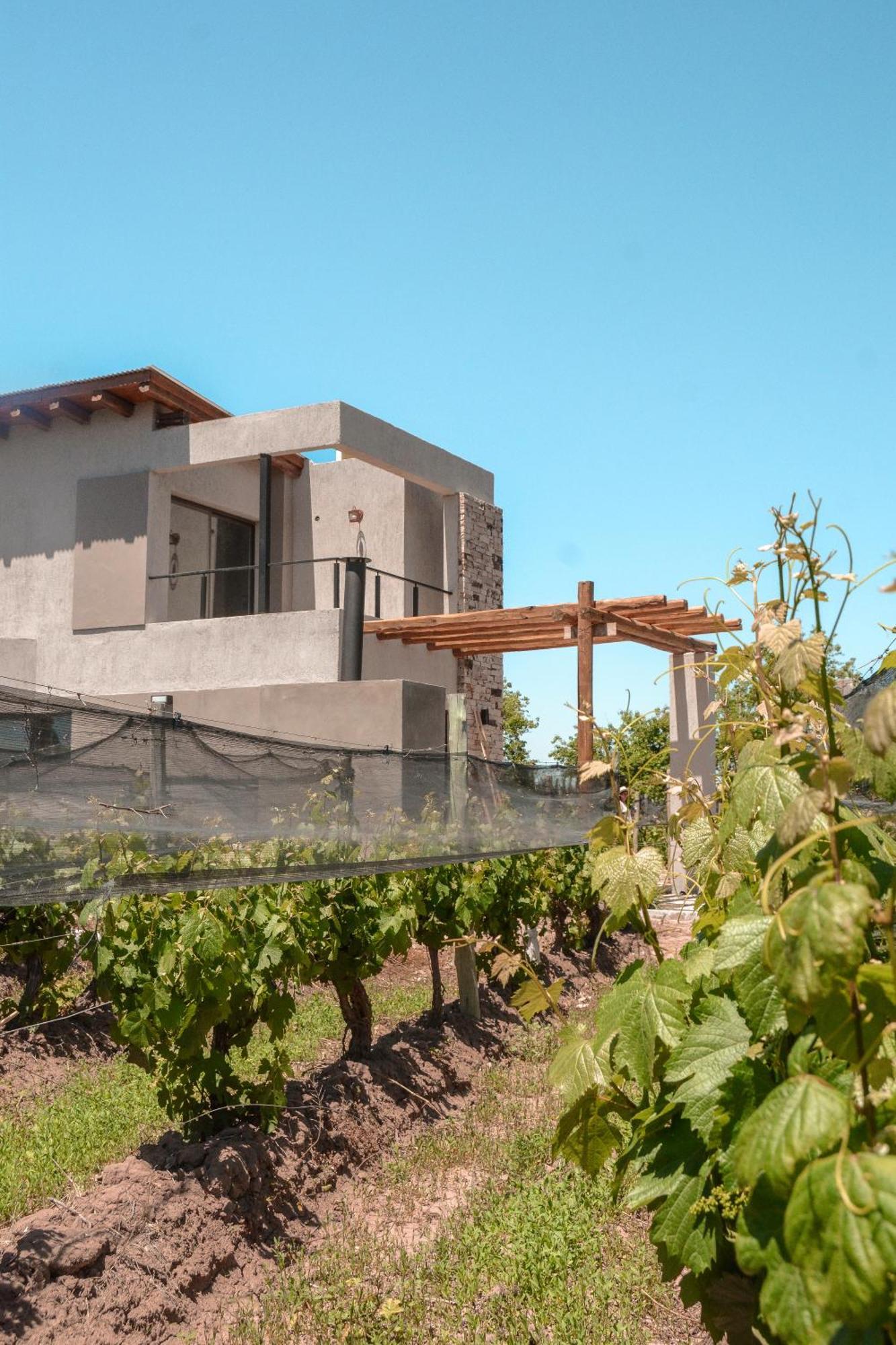 Agrelo Vines Lodge Extérieur photo